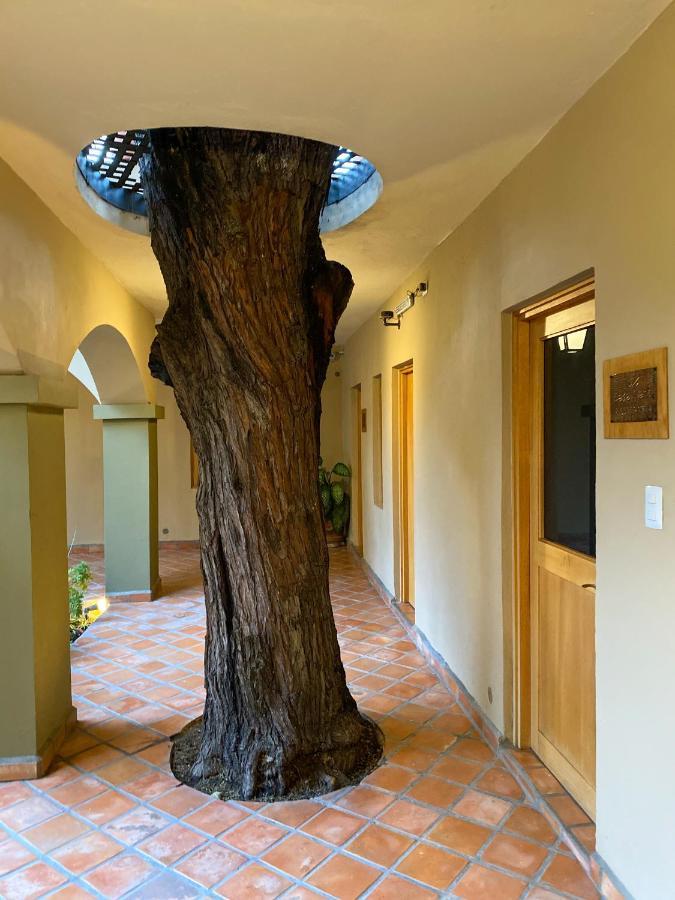 فندق Casa Nare Adults Only سان ميغيل دي الليندي المظهر الخارجي الصورة
