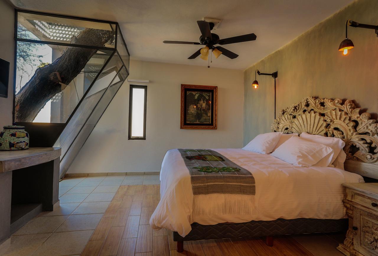 فندق Casa Nare Adults Only سان ميغيل دي الليندي المظهر الخارجي الصورة